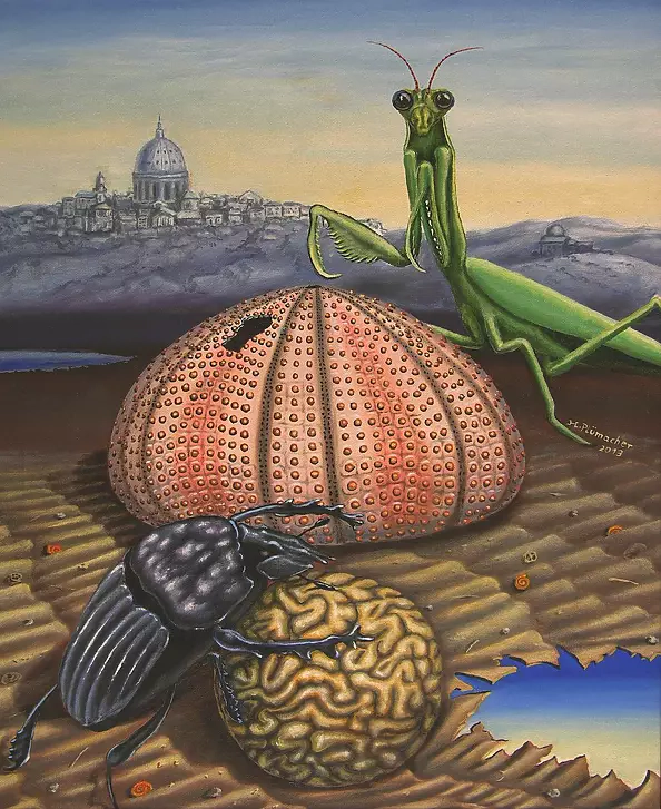 Helmut Pluemacher - Die Seeigelschale