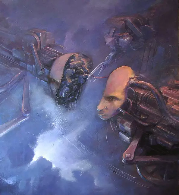 Maciej Wierzbicki - duality