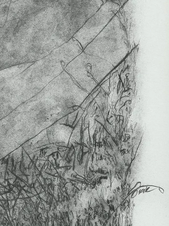 Agnieszka Osak - For Freedom