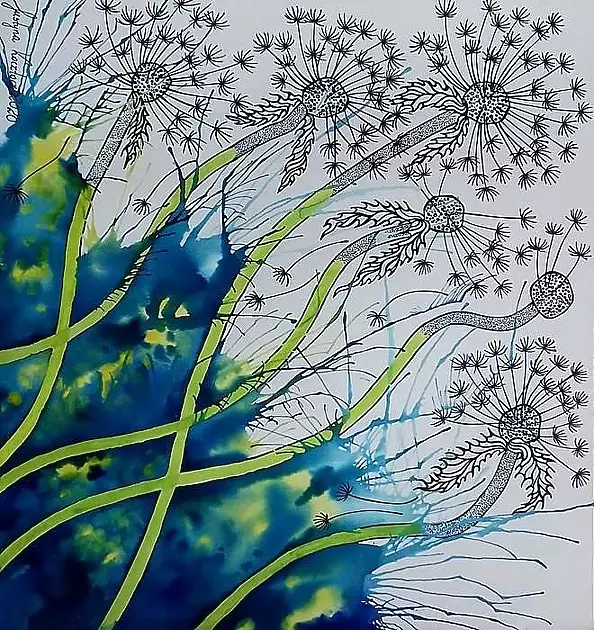 Justyna Kocztorz - Dmuchawce 2