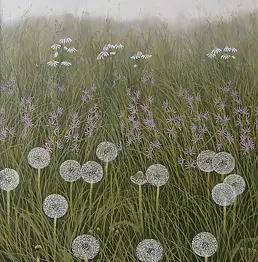 Dariusz Król, одуванчики, Масляная картина - холст, 33 x 41