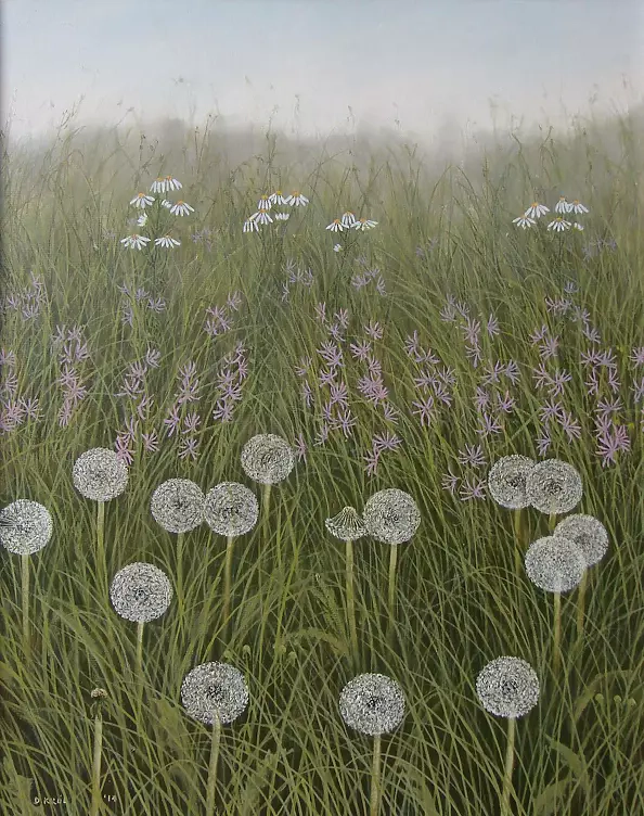 Dariusz Król - dandelions
