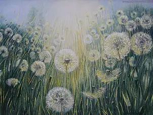 Joanna Brzostowska - dandelions