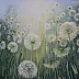 Joanna Brzostowska - dandelions