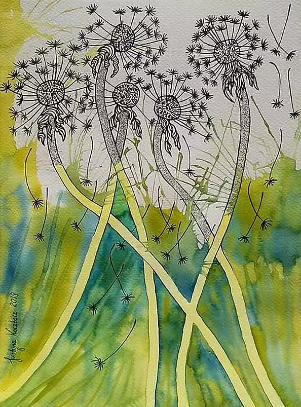 Justyna Kocztorz - dandelions