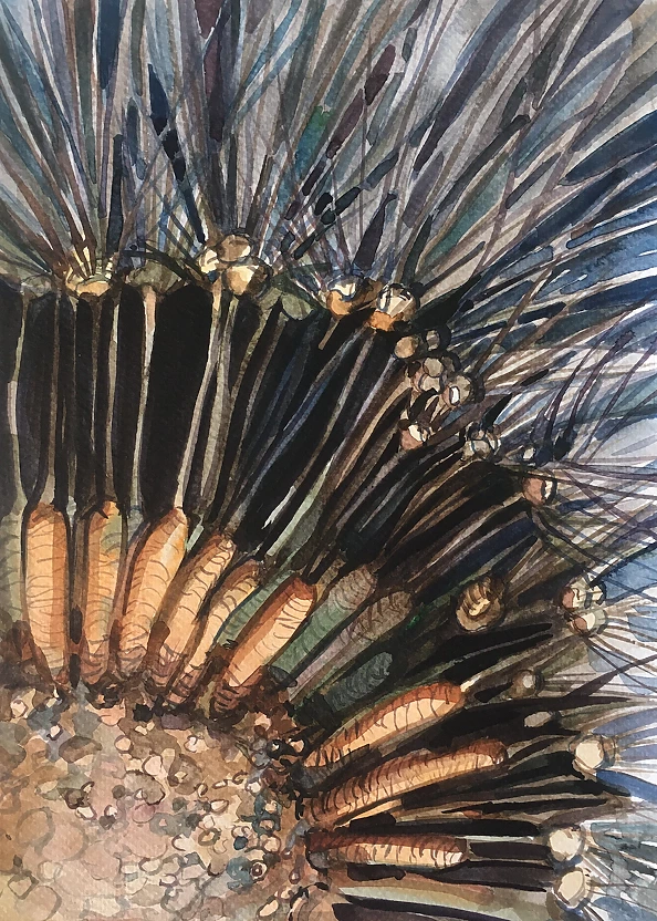 Iwona Greczka - "Dandelion III"