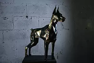 Dawid Rogiński - Doberman