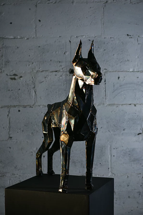 Dawid Rogiński - Doberman