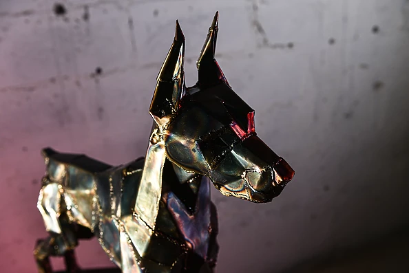 Dawid Rogiński - Doberman