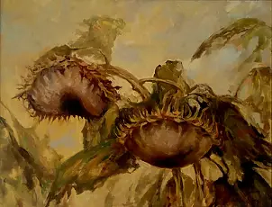 Arleta Eiben - mature sunflowers