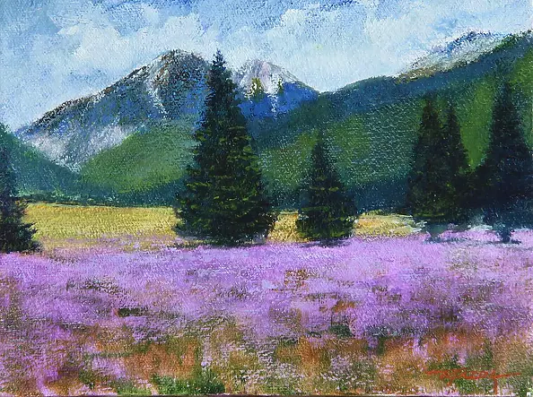 Tadeusz Gazda - Valley Chochołowska