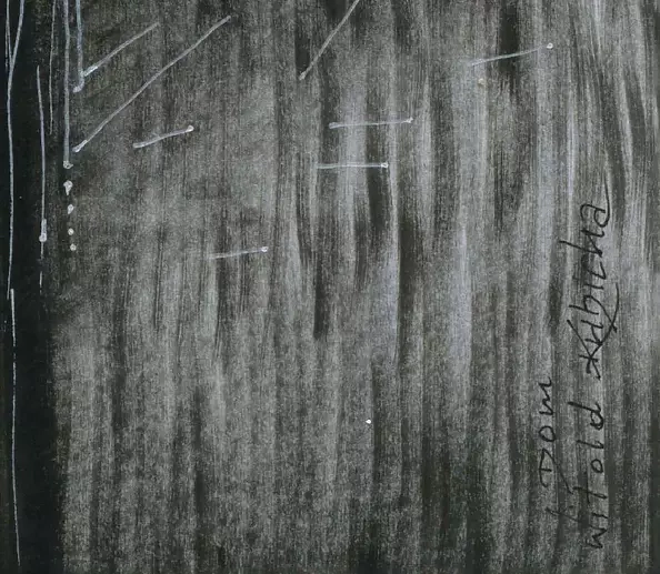 Witold Kubicha - House