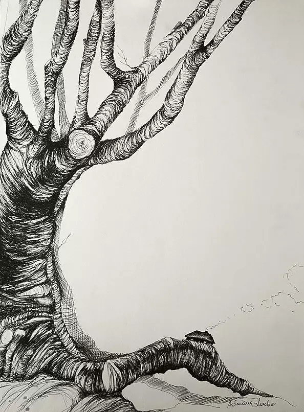 Adriana Laube - Cottage