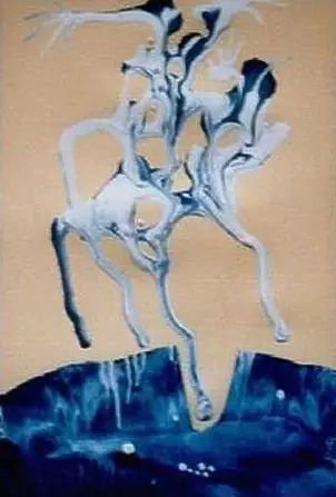 Tadeusz Iwańczuk - Don Quixote