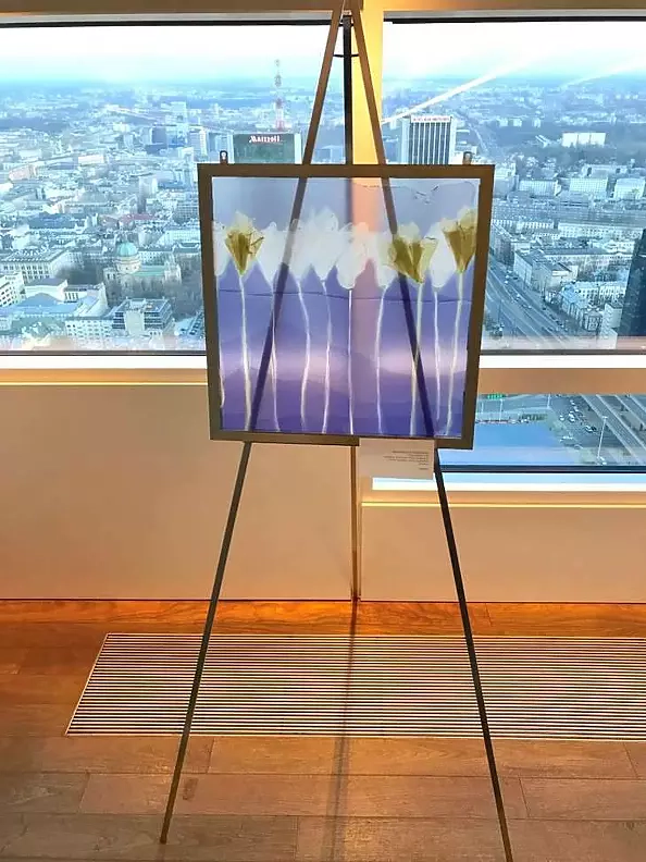 Małgorzata Jabłońska - Complement