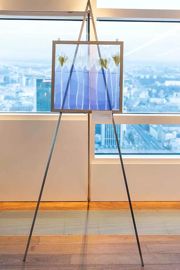 Małgorzata Jabłońska - Complement