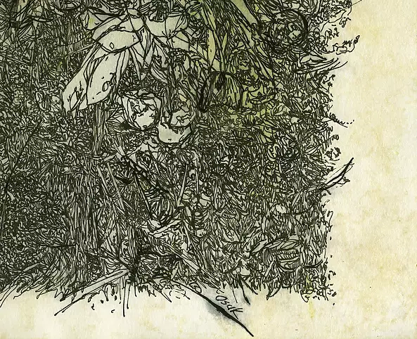 Agnieszka Osak - Dotyk Ziemi