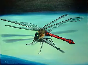   - dragonfly III