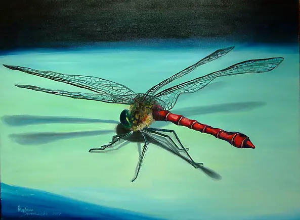 Magdalena Bronakowska - dragonfly III