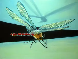  - dragonfly I