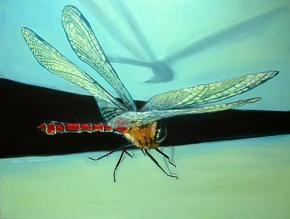 Magdalena Bronakowska - Ważka I