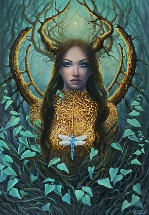 Diana Żarów - Dragonfly