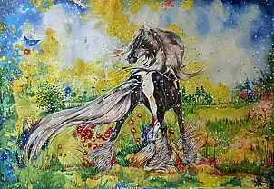   - Dream II + Confetti