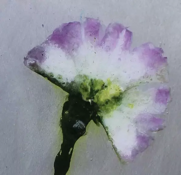 Rachel McCullock - Drifting