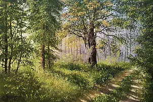 Marek Szczepaniak - Road under an oak tree