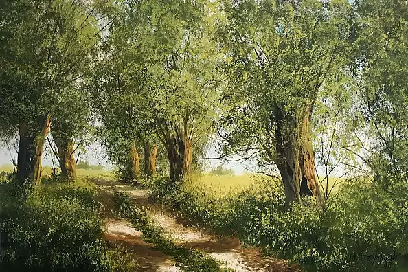 Marek Szczepaniak - Road under willows