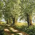 Marek Szczepaniak - Road under willows