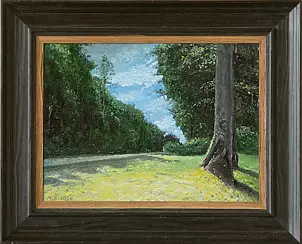   - The road through the forest.