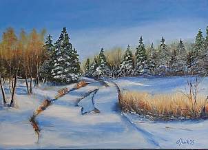 Agnieszka Janik - Droga przez śniegi