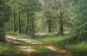 Marek Szczepaniak - Droga przy dębach