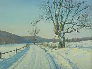 Wojciech Górecki - Road in Czapielsk-noon