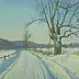 Wojciech Górecki - Road in Czapielsk-noon