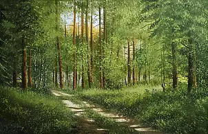 Marek Szczepaniak - Droga w lesie