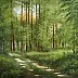Marek Szczepaniak - Droga w lesie
