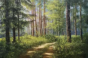 Marek Szczepaniak - Droga w lesie