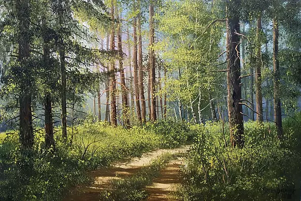 Marek Szczepaniak - Droga w lesie