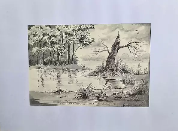 Ryszard Niedźwiedzki - Scream trees