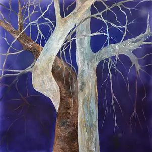 Anna Forycka Putiatycka - trees at night