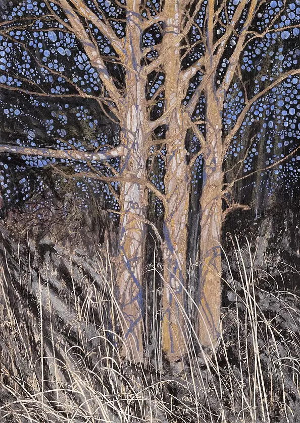 Angelika Mus Nowak - Trees dressed in the shadows of its branches