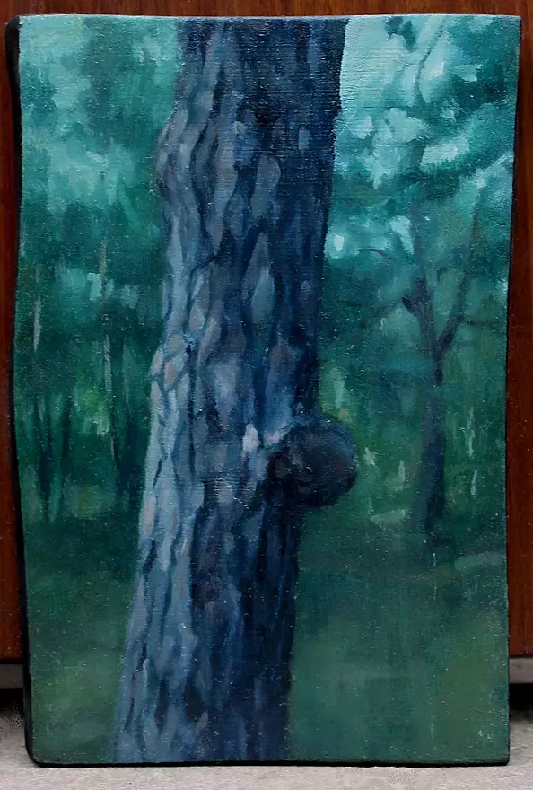 Maria Danielak - Tree peculiarities 3