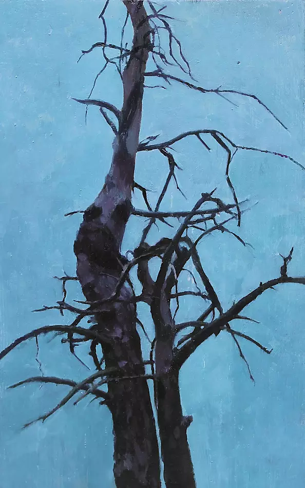 Maria Danielak - Tree peculiarities 4