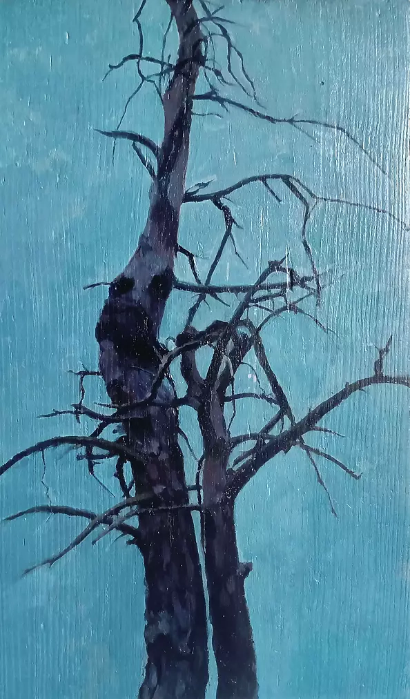 Maria Danielak - Tree peculiarities 4