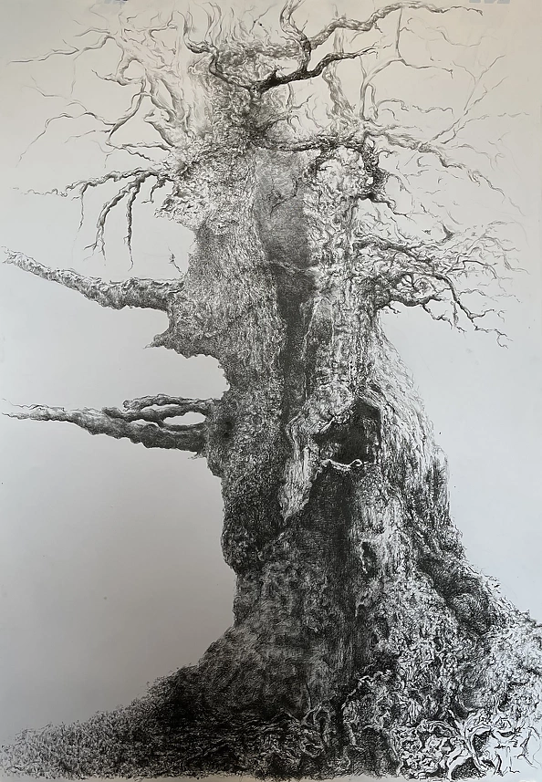 Jakub Dobrowolski - Tree 2