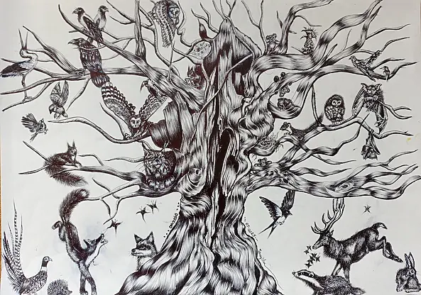 Anna Zarzycka - Tree