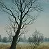 Dariusz Król - Drzewo