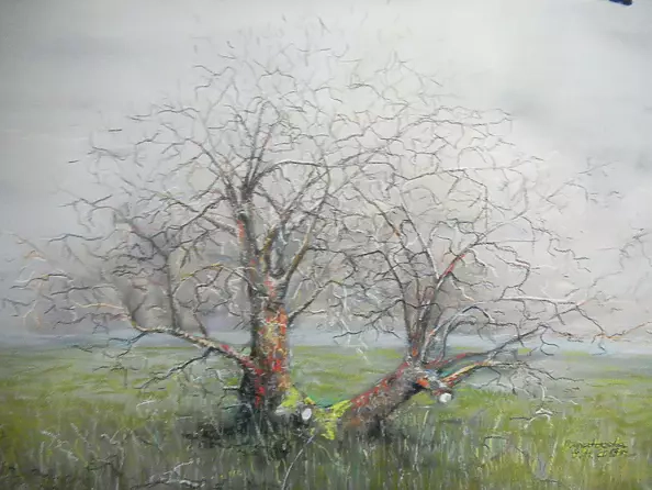 Magdalena Ignatowska - Tree